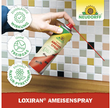 Neudorff Loxiran Ameisenspray zur Bekämpfung von Ameisen im Innen- und Außenbereich. Enthält Natur-Pyrethrum und hat eine zuverlässige Wirkung. Ohne Treibgas.