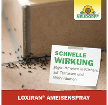 Loxiran Ameisenspray mit schneller Wirkung gegen Ameisen in Küchen, auf Terrassen und in Wohnräumen neben einer Ameisenstraße, Neudorff Logo