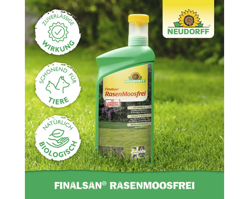 Finalsan RasenMoosfrei Flasche für Moosbefall im Rasen