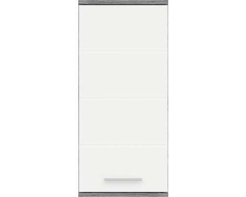 Wandschrank mit Tür und Griff