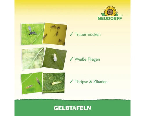 Gelbtafeln zur Schädlingsbekämpfung gegen Trauermücken, Weiße Fliegen sowie Thripse und Zikaden.