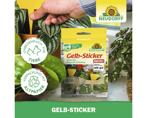 Neudorff Gelb-Sticker zur Schädlingsbekämpfung bei Zierpflanzen