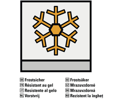 Frostbeständiges Symbol