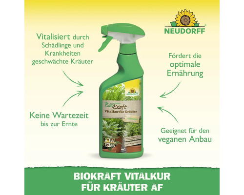 Neudorff Biokraft Vitalkur für Kräuter in einer grünen Sprühflasche