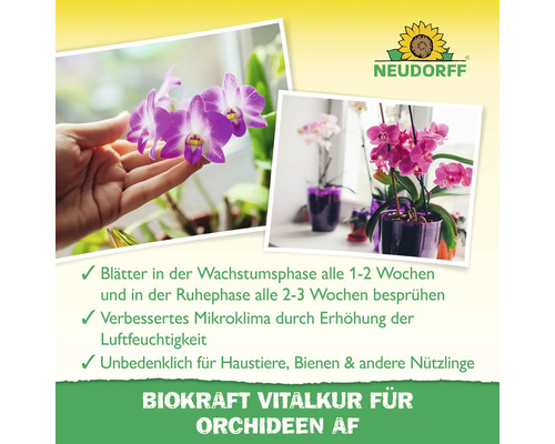 Neudorff Biokraft Vitalkur für Orchideen zur Verbesserung des Mikroklimas und zur Blattpflege, dargestellt mit Orchideen