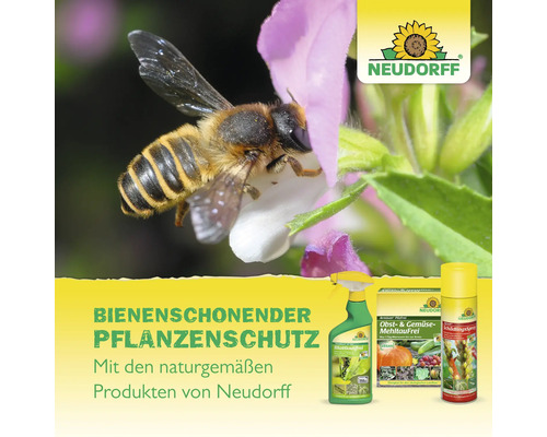 Bienenfreundlicher Pflanzenschutz mit Produkten von Neudorff, dargestellt mit einer Biene auf einer Blüte.