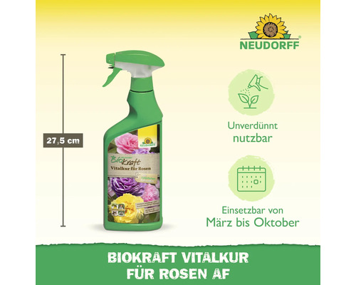 Neudorff Biokraft Vitalkur für Rosen AF, Flasche mit Sprühkopf, 27,5 cm Höhe