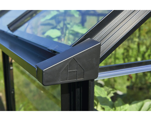 Detailansicht eines Gewächshauses mit Glaselementen und schwarzem Rahmen