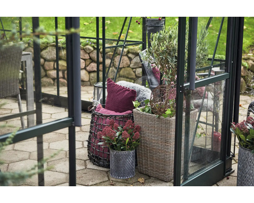 Scène de serre avec des plantes en pot et des éléments décoratifs.