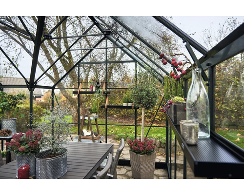 Serre avec table, chaises, étagères et diverses plantes