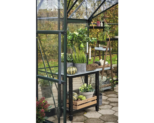 Serre avec plantes, table et décorations dans le jardin.