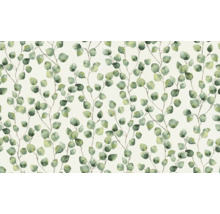 Papier peint à motif d''eucalyptus