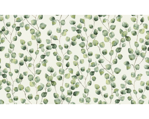 Papier peint à motif d''eucalyptus