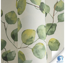 Papier peint à motif de feuilles d''eucalyptus