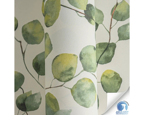 Papier peint à motif de feuilles d''eucalyptus