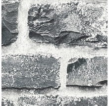 Gros plan d''un papier peint à motif de pierre