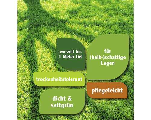 Informationen über Raseneigenschaften: Wurzelt bis 1 Meter tief, geeignet für halbschattige Lagen, trockenheitstolerant, pflegeleicht, dicht und sattgrün.