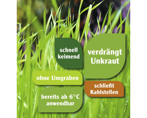 Informationen zu den Eigenschaften des Rasens: schnell keimend, verdrängt Unkraut, ohne Umgraben, bereits ab 6 Grad anwendbar, schließt Kahlstellen.