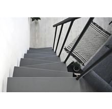 Graue Treppe mit schwarzem Geländer, Teppich und Pflanze für ein modernes Interieur
