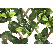 Trellis décoratif avec feuilles vertes