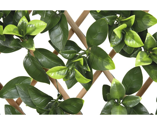 Trellis décoratif avec feuilles vertes
