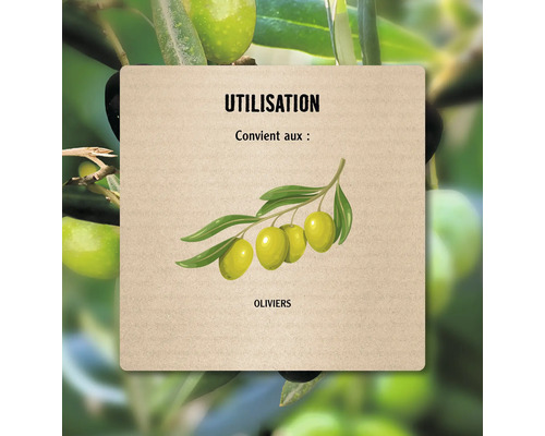 Illustration de l''utilisation pour les oliviers.