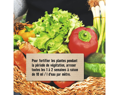 Panier avec différents légumes et texte d''instructions pour fortifier les plantes pendant la période de végétation