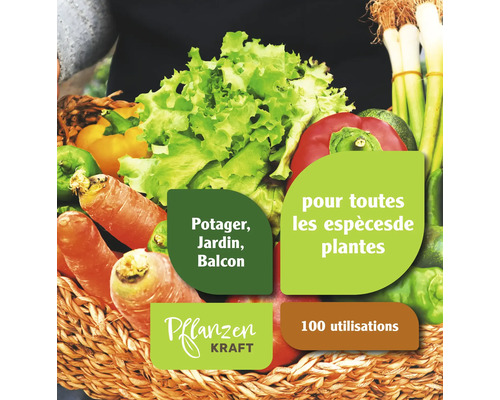 Panier avec des légumes tels que des carottes, de la laitue et des poivrons