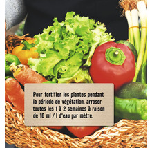 Engrais pour plantes FloraSelf Nature Kit de démarrage puissance des plantes 500 ml