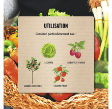 Engrais pour plantes FloraSelf Nature Kit de démarrage puissance des plantes 500 ml