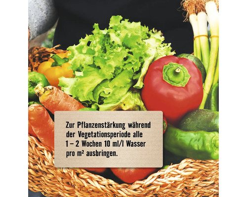 Gemüsekorb mit Salat, Paprika, Karotten und Lauch mit Pflegehinweis