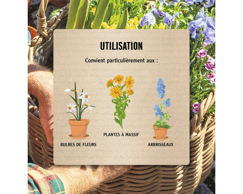 Illustration avec des exemples d''utilisation avec des bulbes de fleurs, des plantes de massifs et des arbustes
