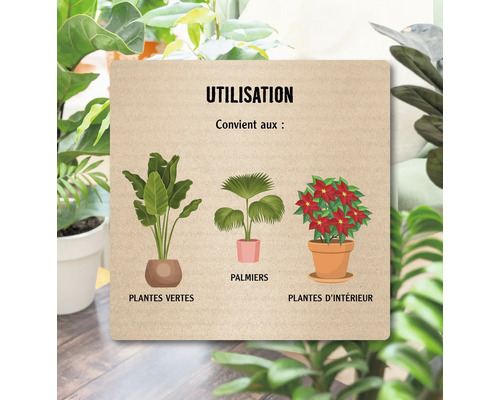Illustration de plantes d''intérieur, de palmiers et de plantes vertes avec le titre Utilisation