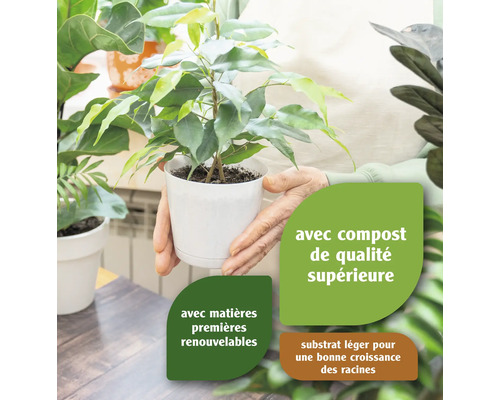 Plante d''intérieur en pot avec des indications sur un compost de qualité supérieure, des matières premières renouvelables et un substrat léger