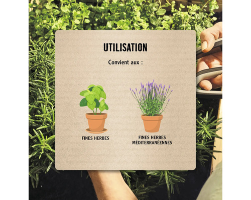 Instructions pour l''utilisation des herbes aromatiques et des herbes méditerranéennes