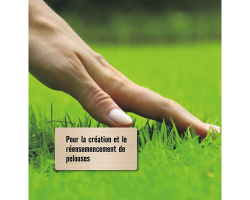 "Une main touche l''herbe 