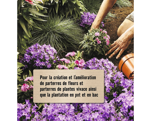 Une personne plante des fleurs et des plantes vivaces dans une plate-bande et un pot.