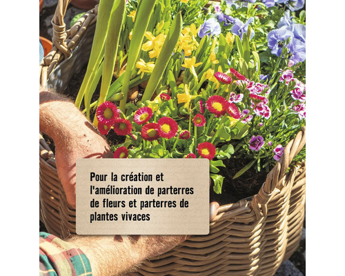 Panier avec diverses fleurs et texte sur la création de parterres de fleurs et de plantes vivaces