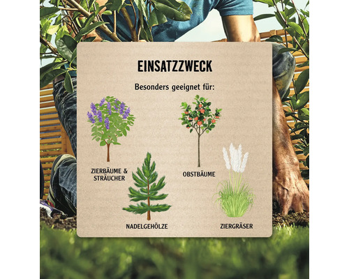 Informationen zur Verwendung verschiedener Pflanzenarten: Zierbäume und Sträucher, Obstbäume, Nadelgehölze und Ziergräser.