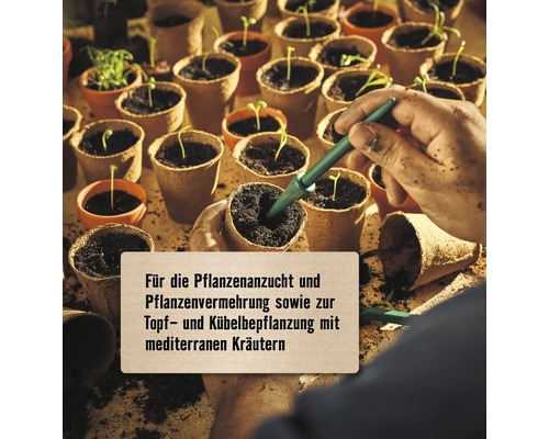 Anzuchttöpfe mit Setzlingen und Händen beim Pflanzen für die Pflanzenanzucht