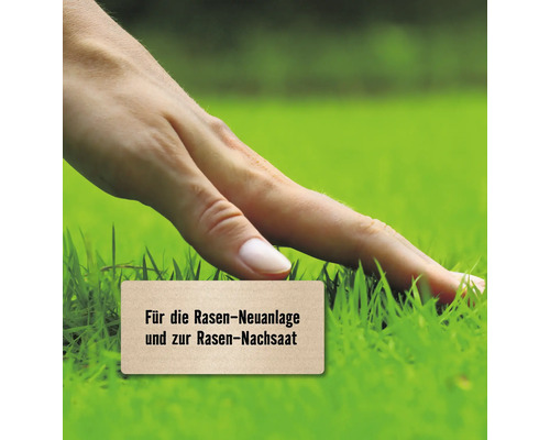 "Eine Hand berührt Rasen