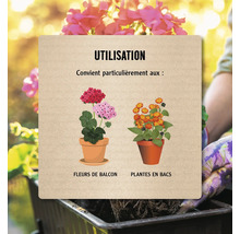 Informations d''utilisation pour les fleurs de balcon et les plantes en pots