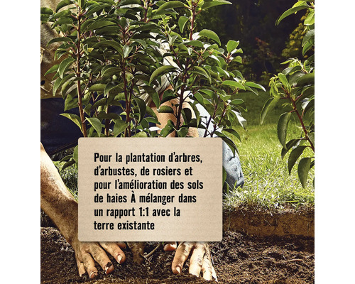 Pour la plantation d''arbres, d''arbustes, de rosiers et pour l''amélioration des sols de haies À mélanger dans un rapport 1:1 avec la terre existante