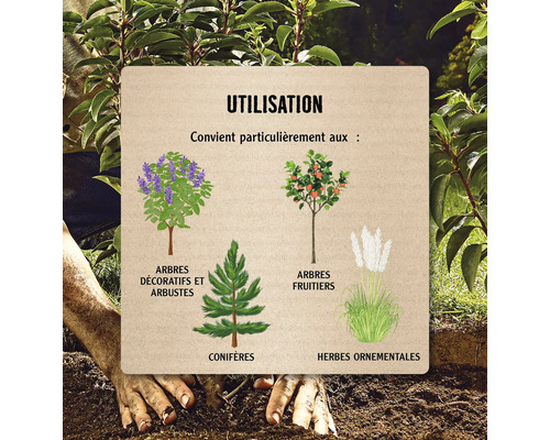 Panneau d''information sur l''utilisation des plantes : arbres et arbustes d''ornement, arbres fruitiers, conifères, graminées d''ornement.