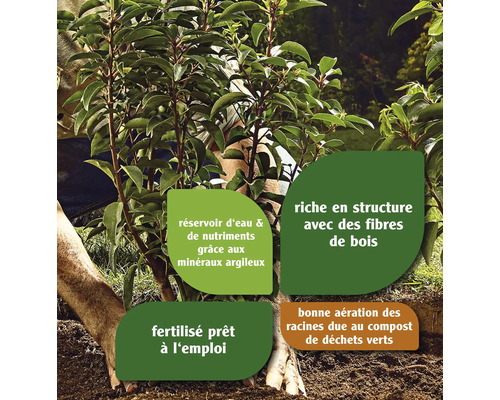 Plante avec des informations sur le stockage de l''eau, les nutriments, la structure et l''aération du sol