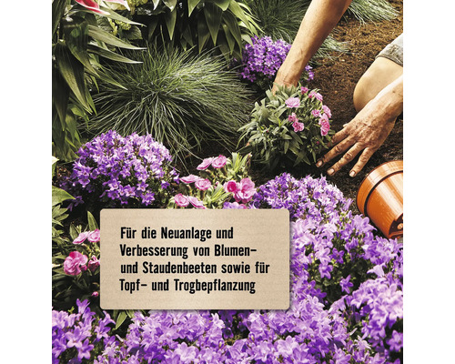 Gartenarbeit mit Blumen und Staudenbeet für die Topf- und Trogbepflanzung