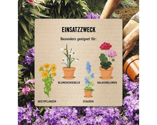 Infografik mit Beetpflanzen, Blumenzwiebeln, Stauden und Balkonblumen zur Gartengestaltung