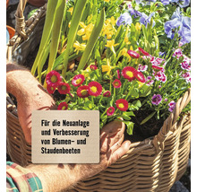 Gärtner hält einen Korb mit Frühblühern und einem Schild für die Neuanlage und Verbesserung von Blumen- und Staudenbeeten