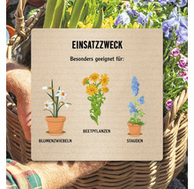 Illustration mit dem Einsatzweck von Blumenzwiebeln, Beetpflanzen und Stauden.