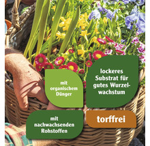 Blumen in einem Korb mit Hinweisen zu organischem Dünger, lockerem Substrat für gutes Wurzelwachstum, nachwachsenden Rohstoffen und torffreier Beschaffenheit